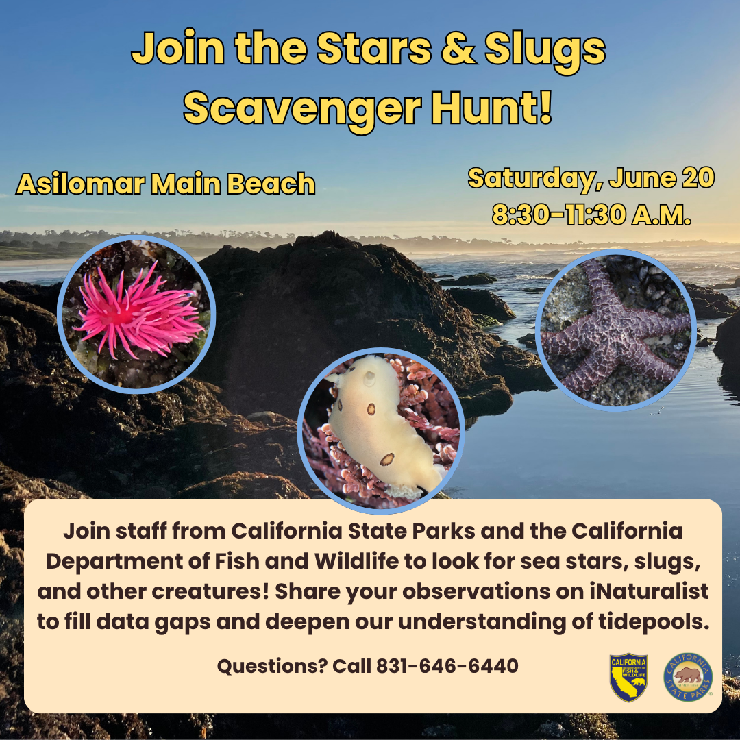 Stars and Slugs program information Stars and Slugs program information